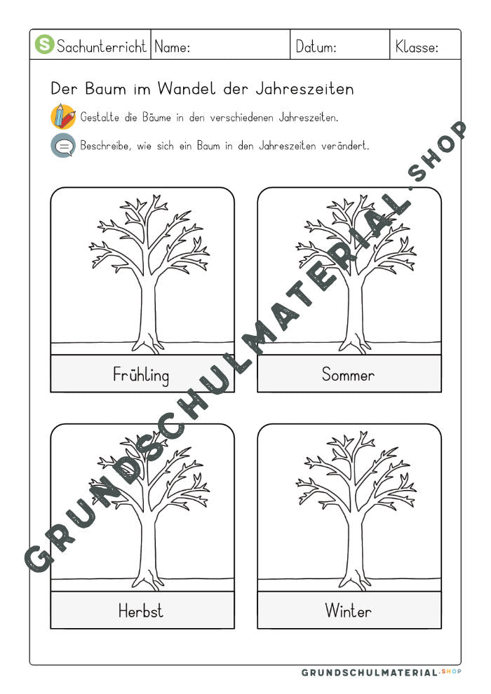 Baum im Wandel der Jahreszeiten Arbeitsblatt