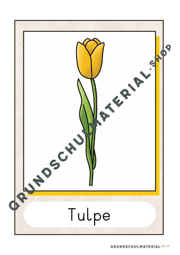 Materialpaket Frühblüher