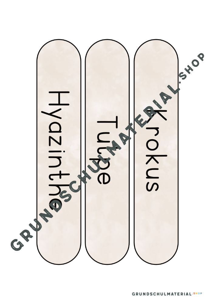 Materialpaket Frühblüher