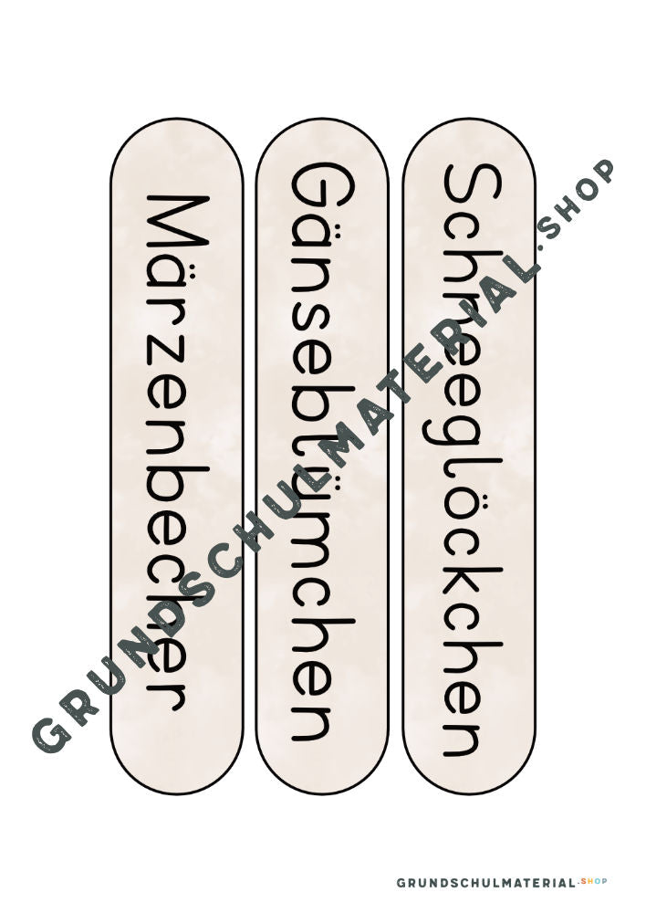 Materialpaket Frühblüher