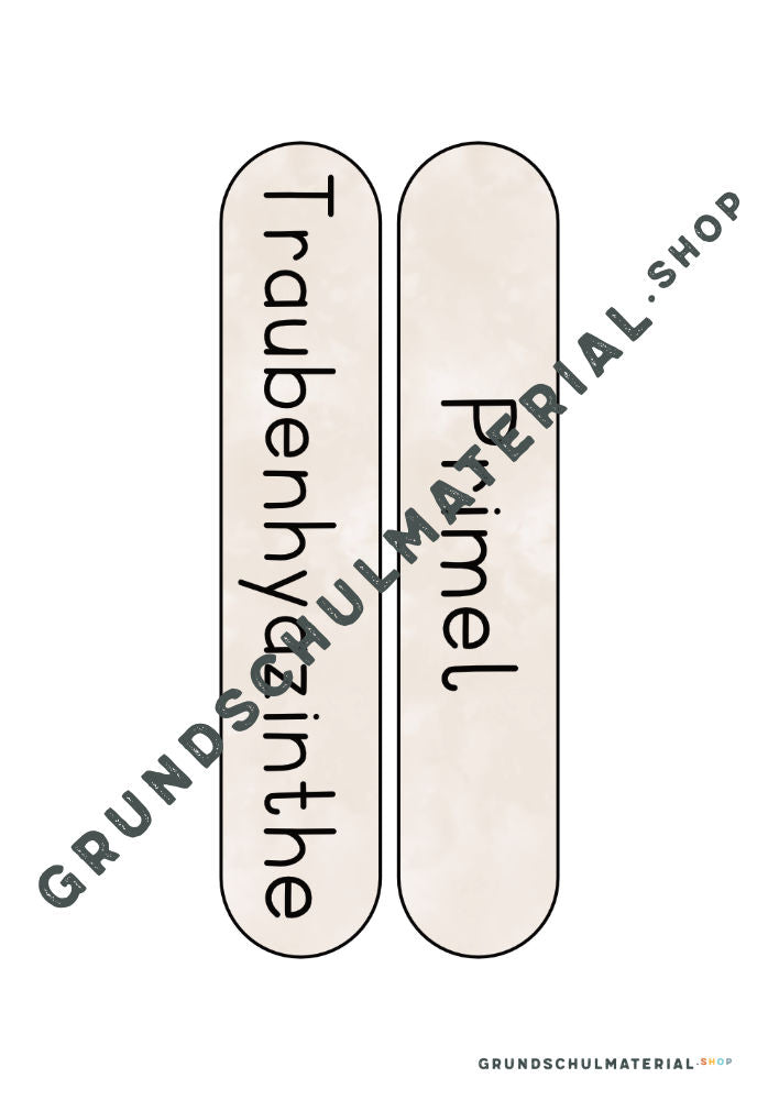 Materialpaket Frühblüher