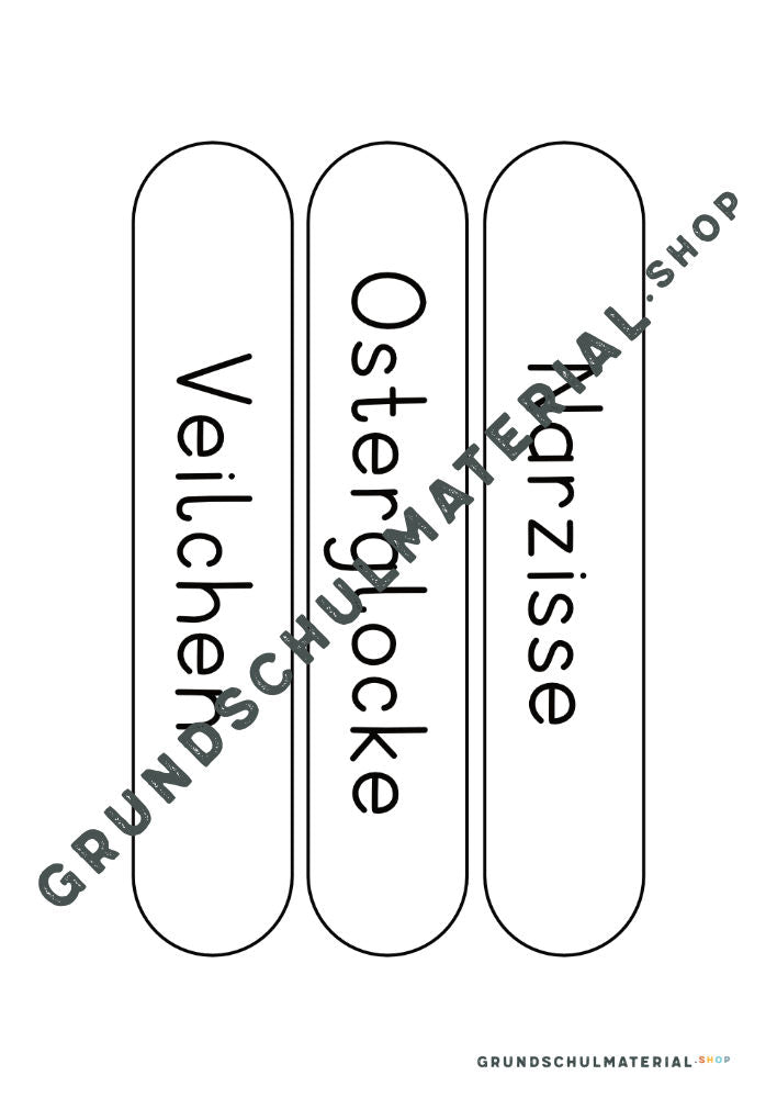 Materialpaket Frühblüher
