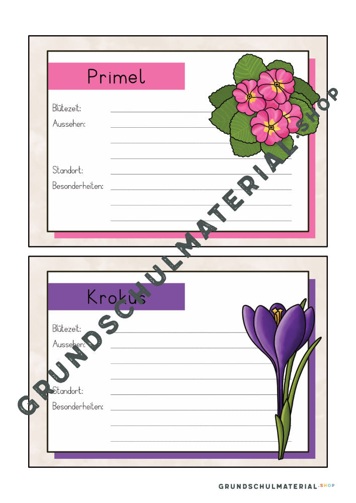 Materialpaket Frühblüher