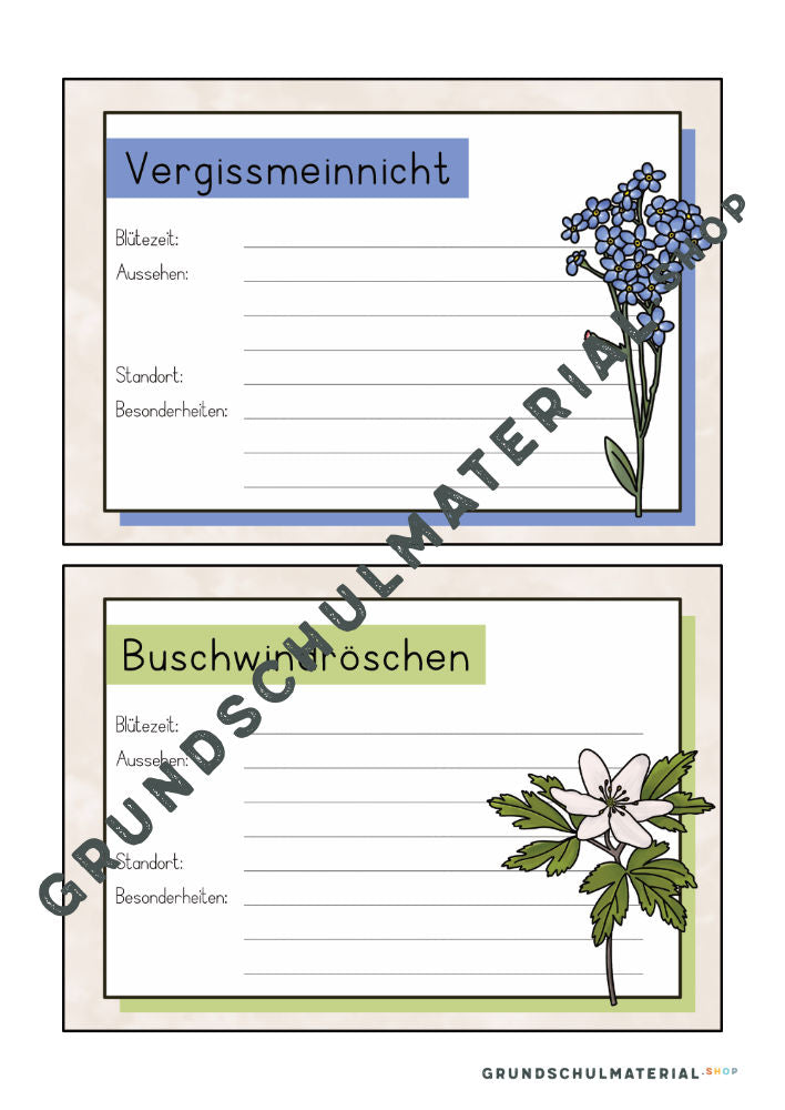 Materialpaket Frühblüher