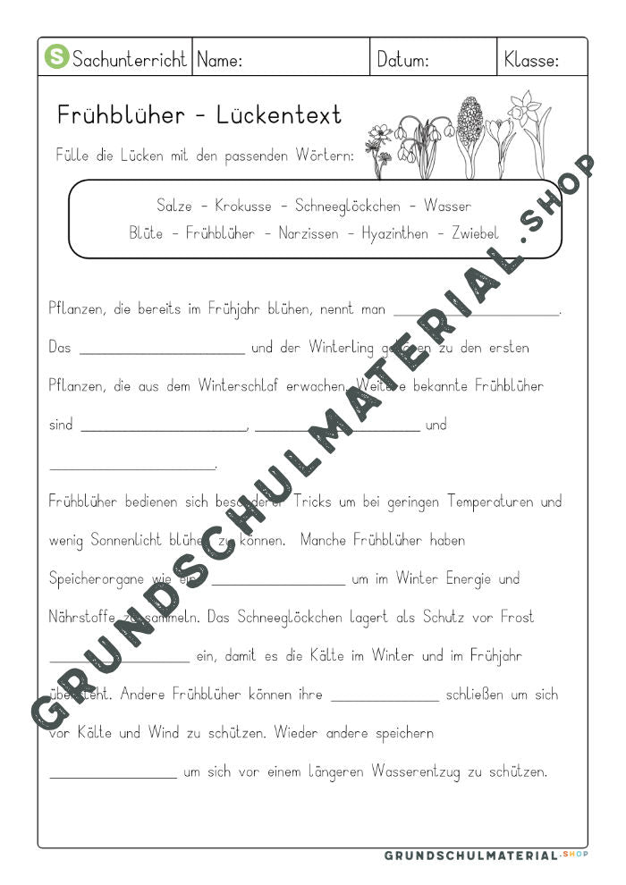 Frühblüher Lückentext