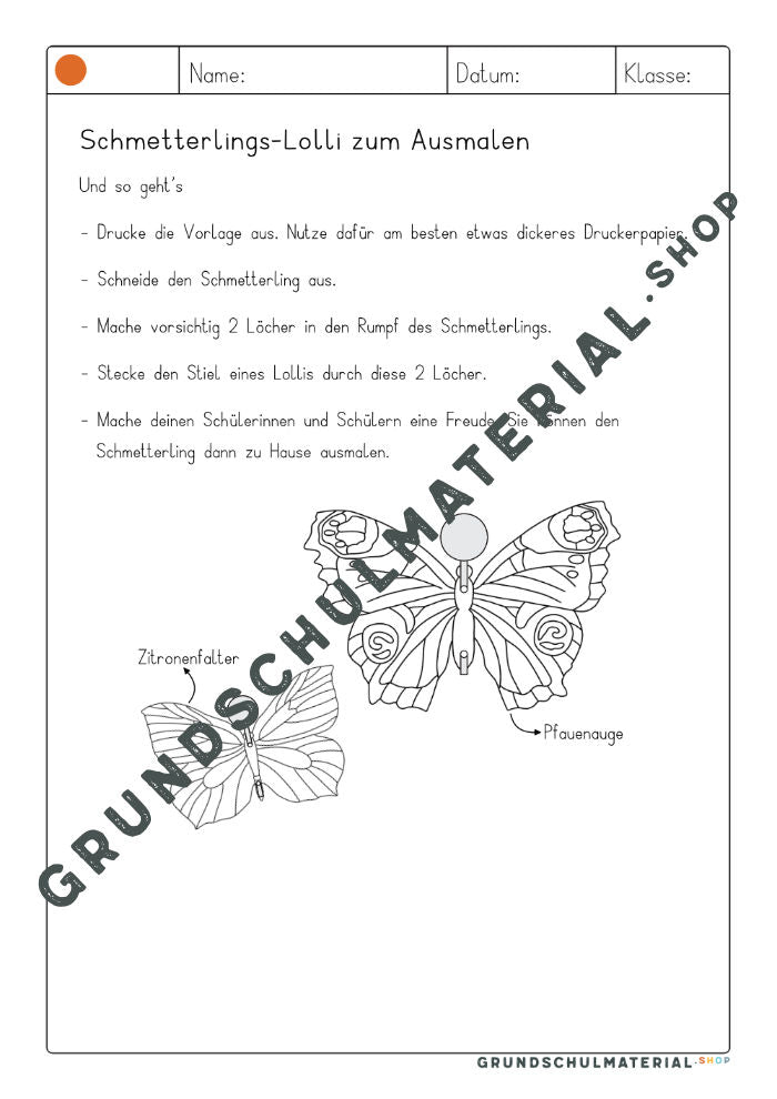 Schmetterlings-Lolli