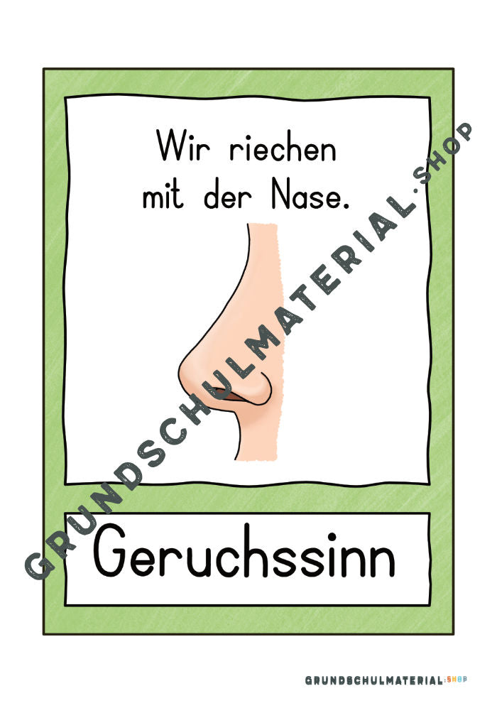 Materialpaket "Meine 5 Sinne"