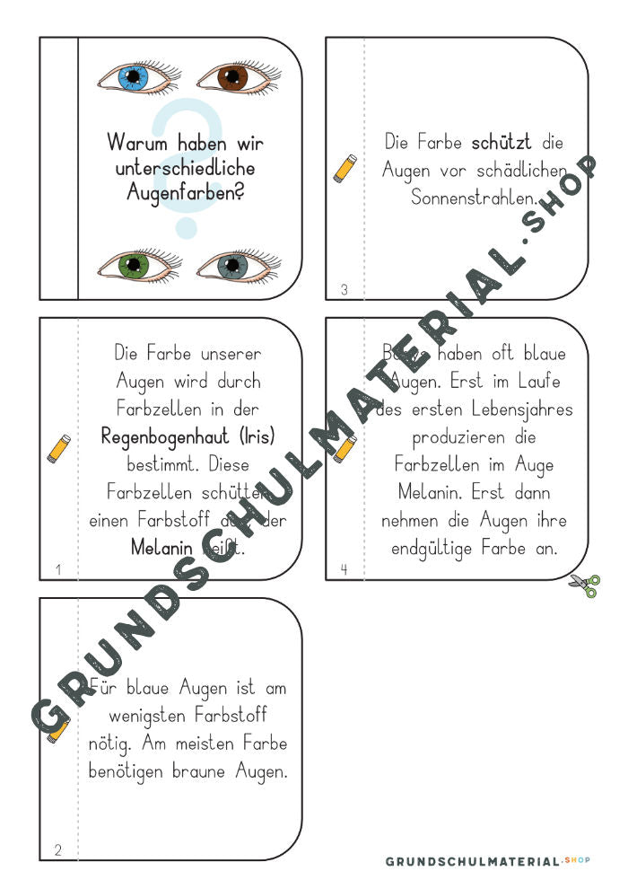 Materialpaket "Meine 5 Sinne"