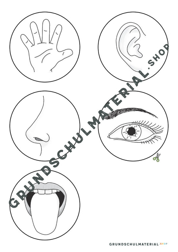 Materialpaket "Meine 5 Sinne"