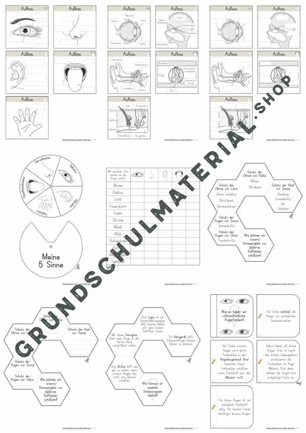 Materialpaket "Meine 5 Sinne"