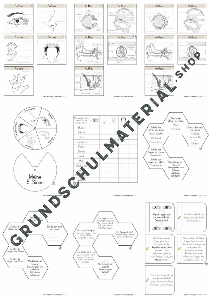 Materialpaket "Meine 5 Sinne"