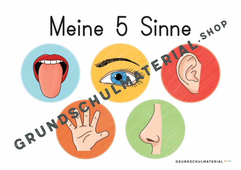 Materialpaket "Meine 5 Sinne"