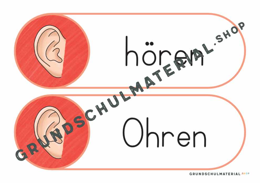 Materialpaket "Meine 5 Sinne"