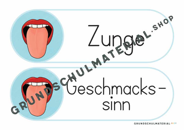 Materialpaket "Meine 5 Sinne"