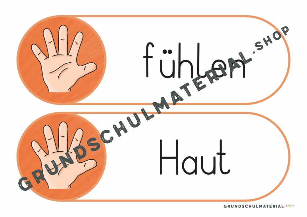 Materialpaket "Meine 5 Sinne"