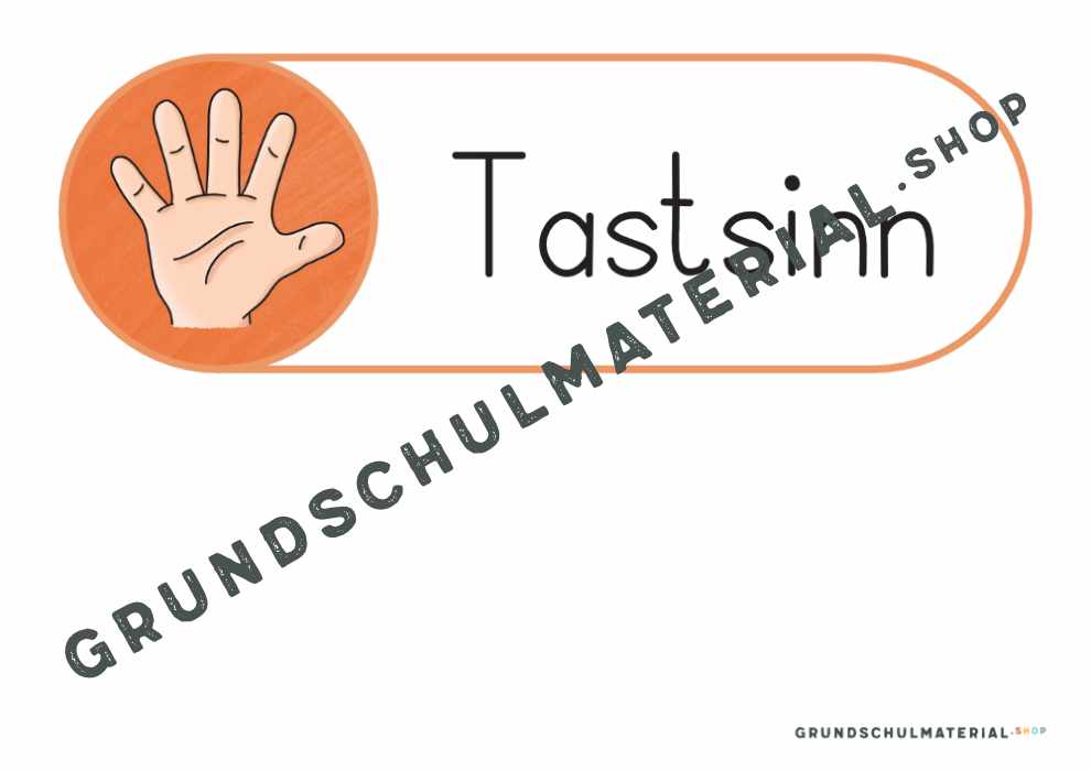 Materialpaket "Meine 5 Sinne"