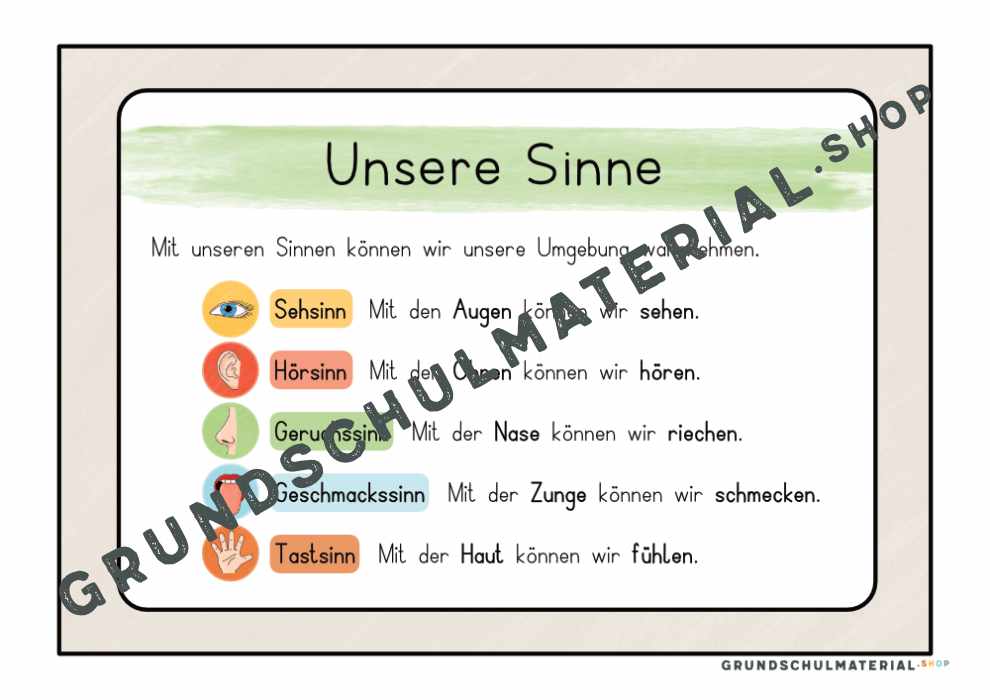 Materialpaket "Meine 5 Sinne"