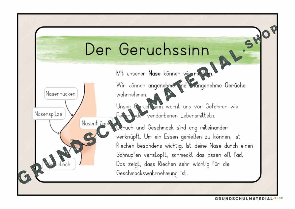 Materialpaket "Meine 5 Sinne"