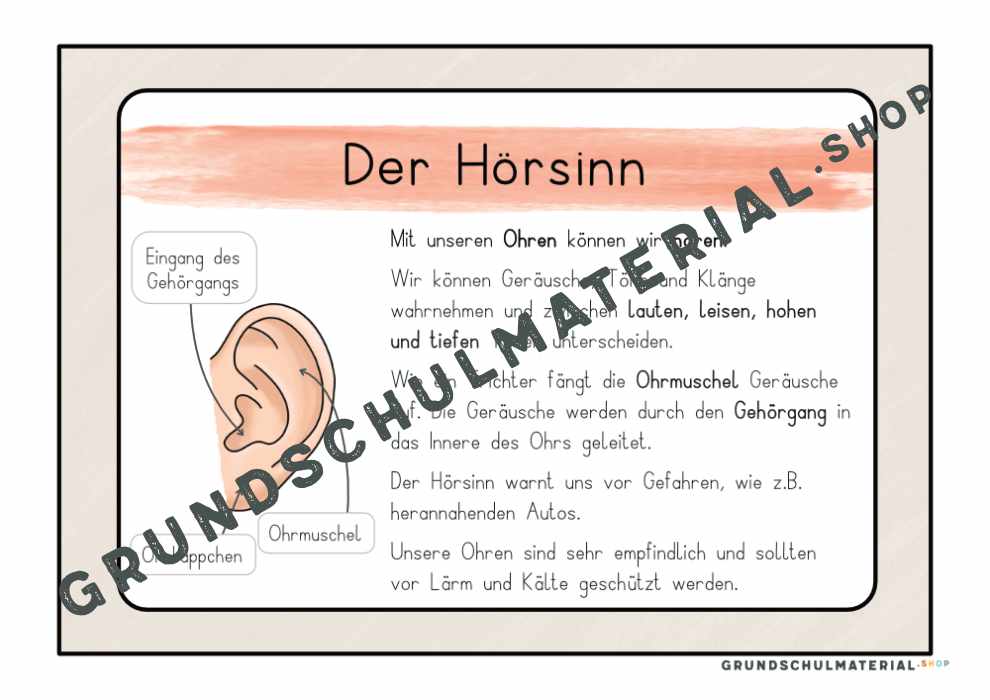 Materialpaket "Meine 5 Sinne"