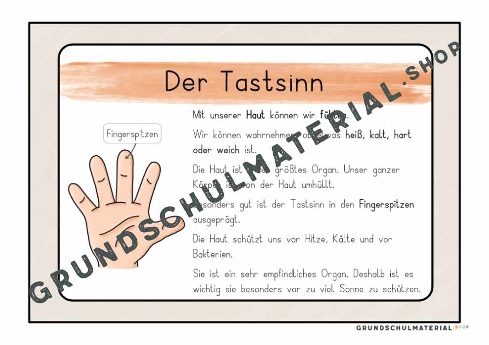 Materialpaket "Meine 5 Sinne"