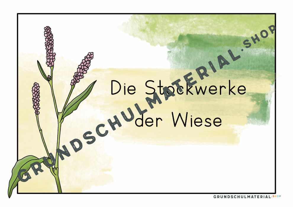 Materialpaket "Lebensraum Wiese"