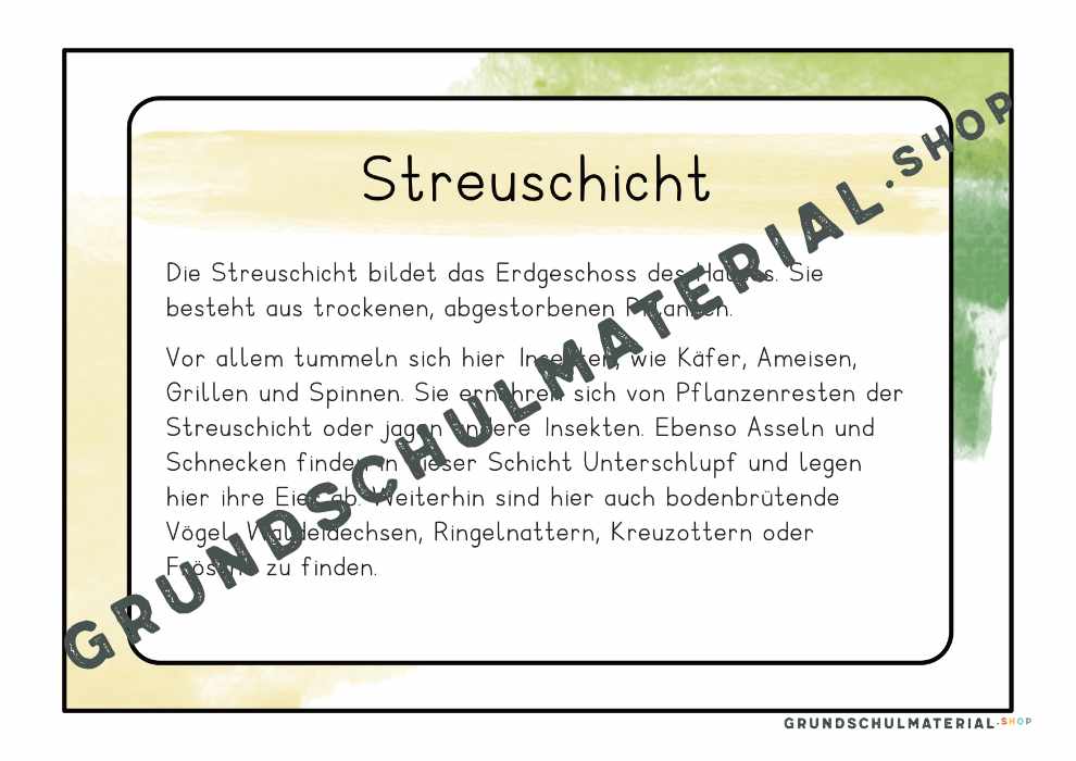 Materialpaket "Lebensraum Wiese"