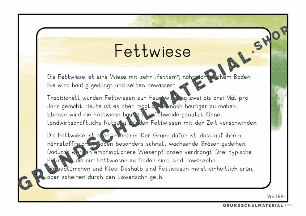 Materialpaket "Lebensraum Wiese"