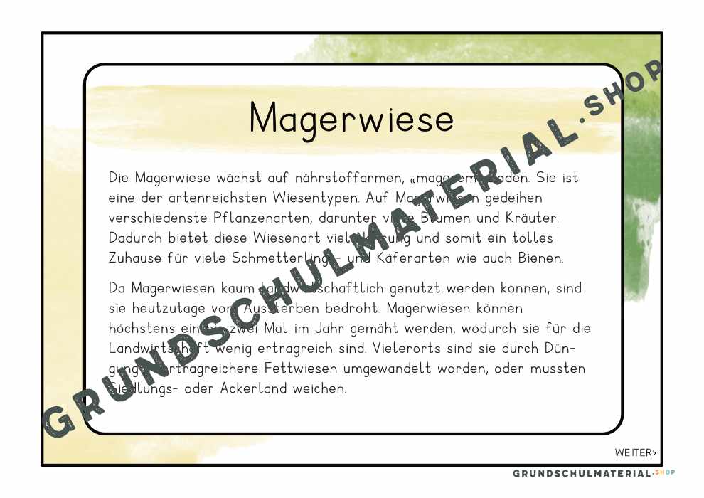 Materialpaket "Lebensraum Wiese"