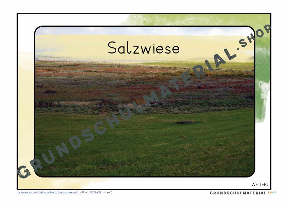 Materialpaket "Lebensraum Wiese"