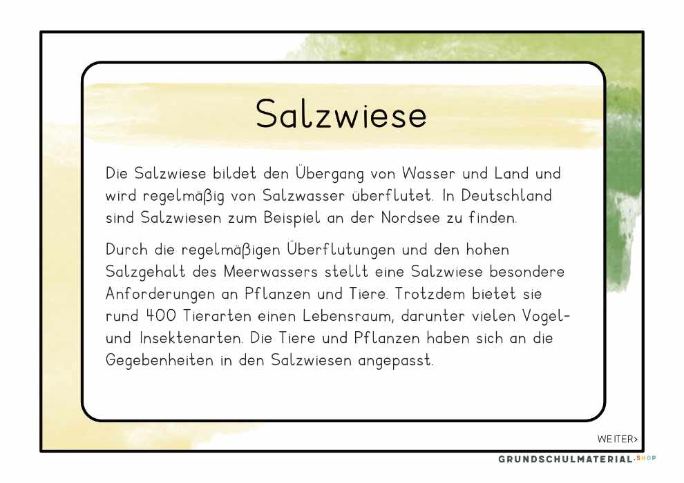Materialpaket "Lebensraum Wiese"