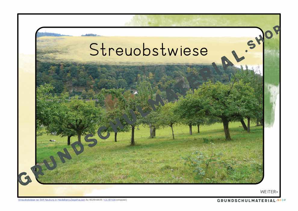 Materialpaket "Lebensraum Wiese"