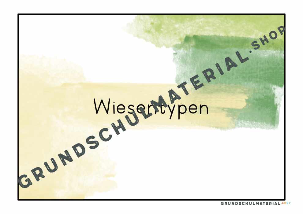 Materialpaket "Lebensraum Wiese"