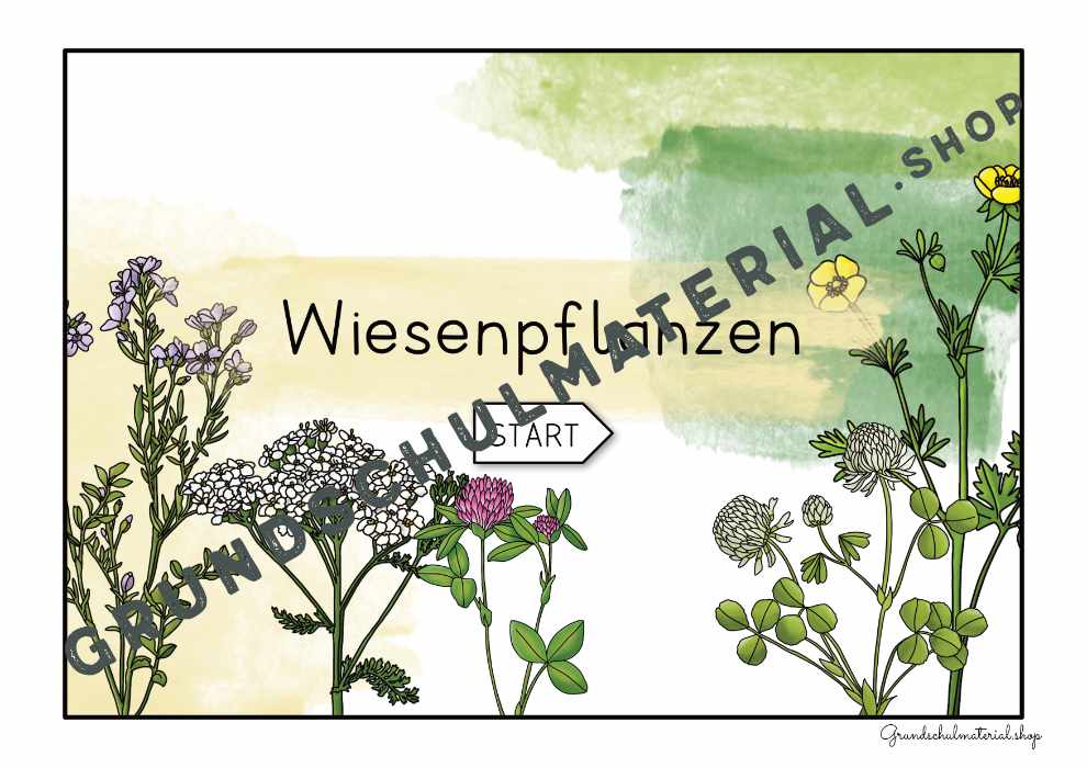 Wiesenblumen Interaktives PDF inkl. Quizfragen & Wissenskarten