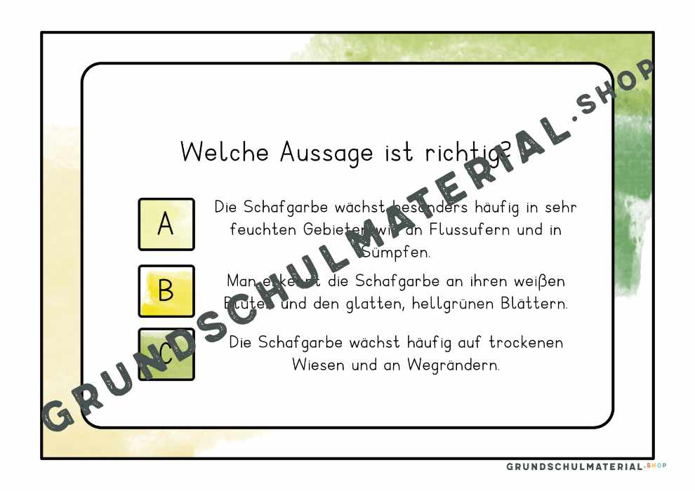 Materialpaket "Lebensraum Wiese"