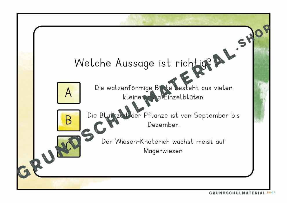 Materialpaket "Lebensraum Wiese"