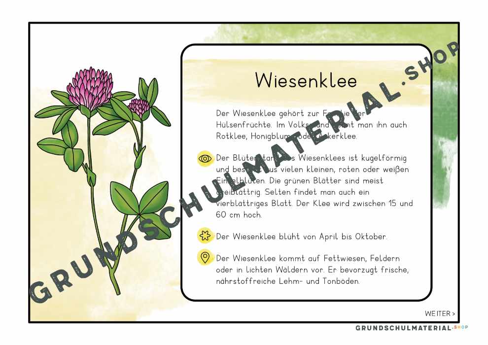 Materialpaket "Lebensraum Wiese"