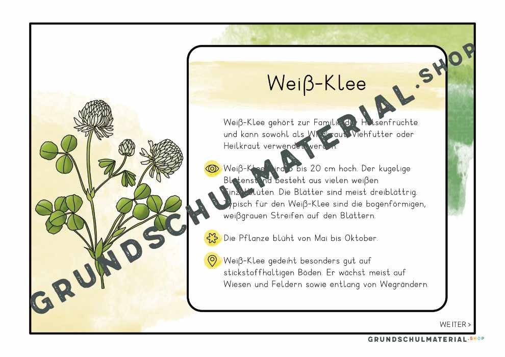 Materialpaket "Lebensraum Wiese"