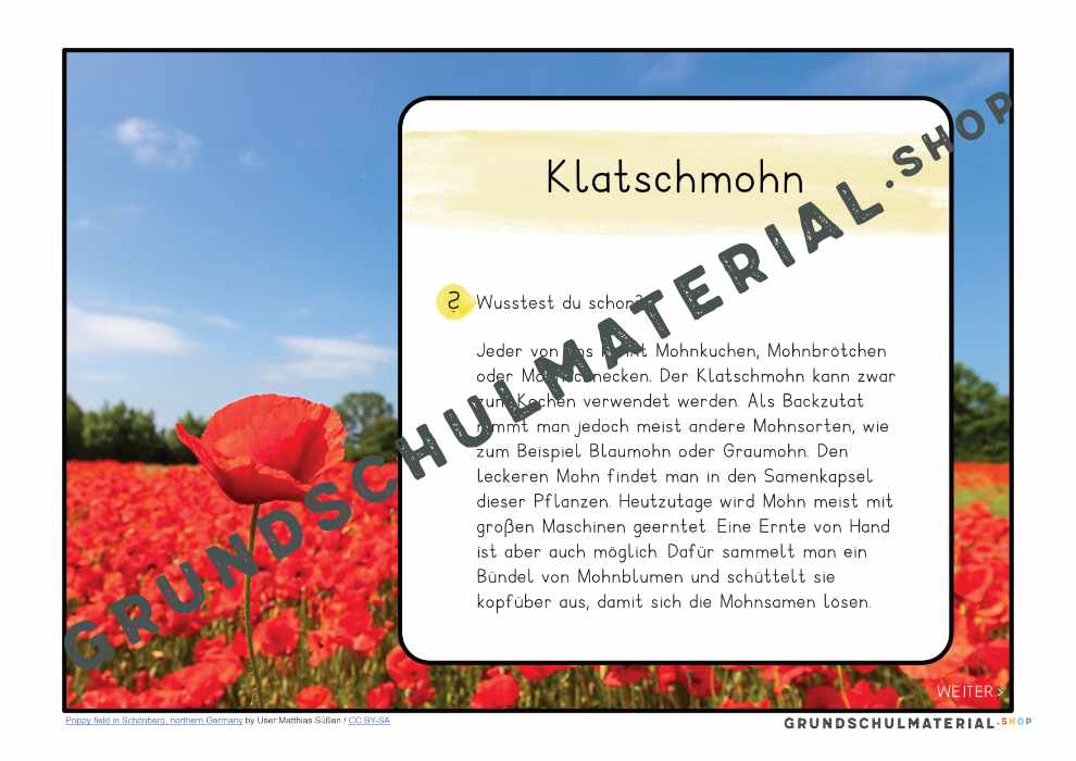 Materialpaket "Lebensraum Wiese"