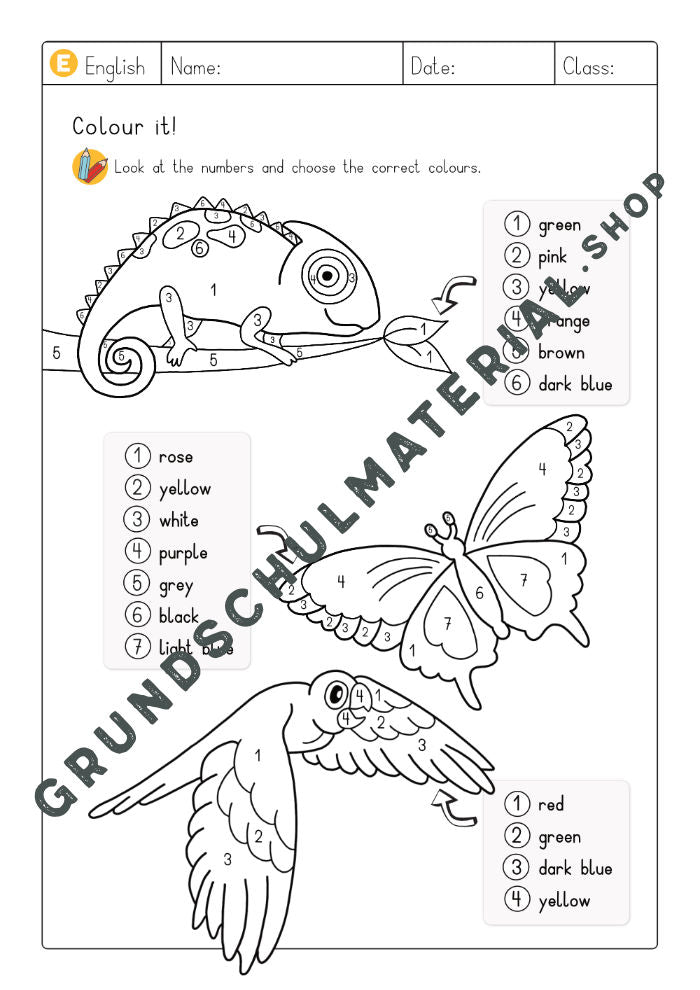 Colours - Read & Colour Arbeitsblätter (A4) + Plakat (A3)