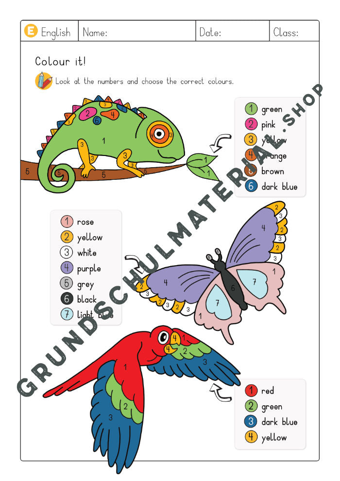 Colours - Read & Colour Arbeitsblätter (A4) + Plakat (A3)