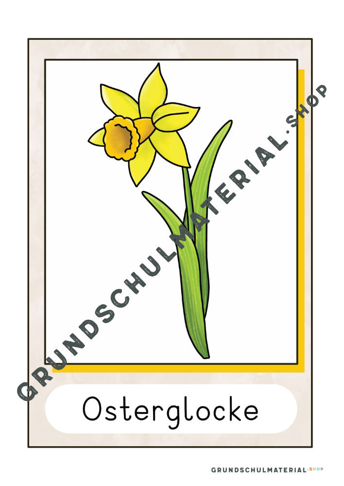 Materialpaket Frühblüher