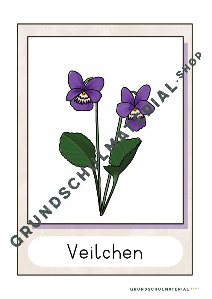 Materialpaket Frühblüher