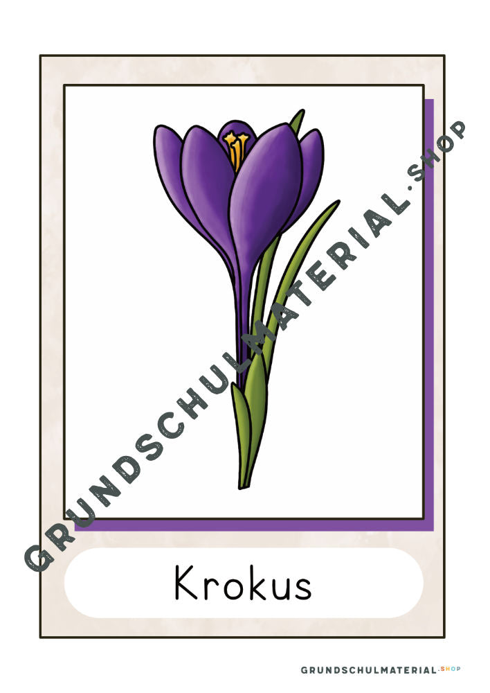 Materialpaket Frühblüher