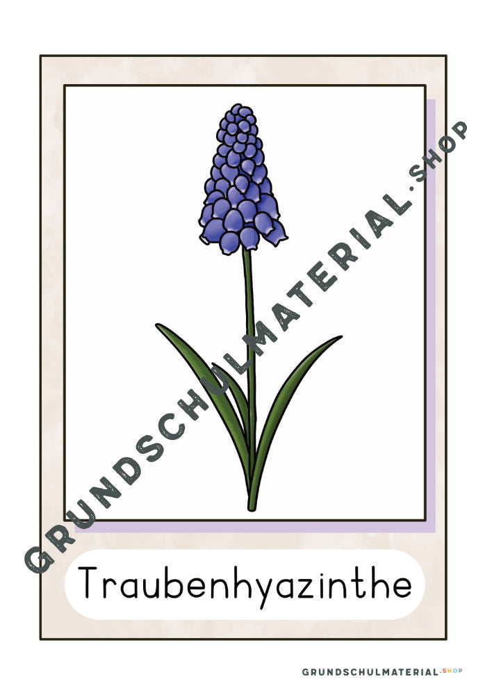 Materialpaket Frühblüher
