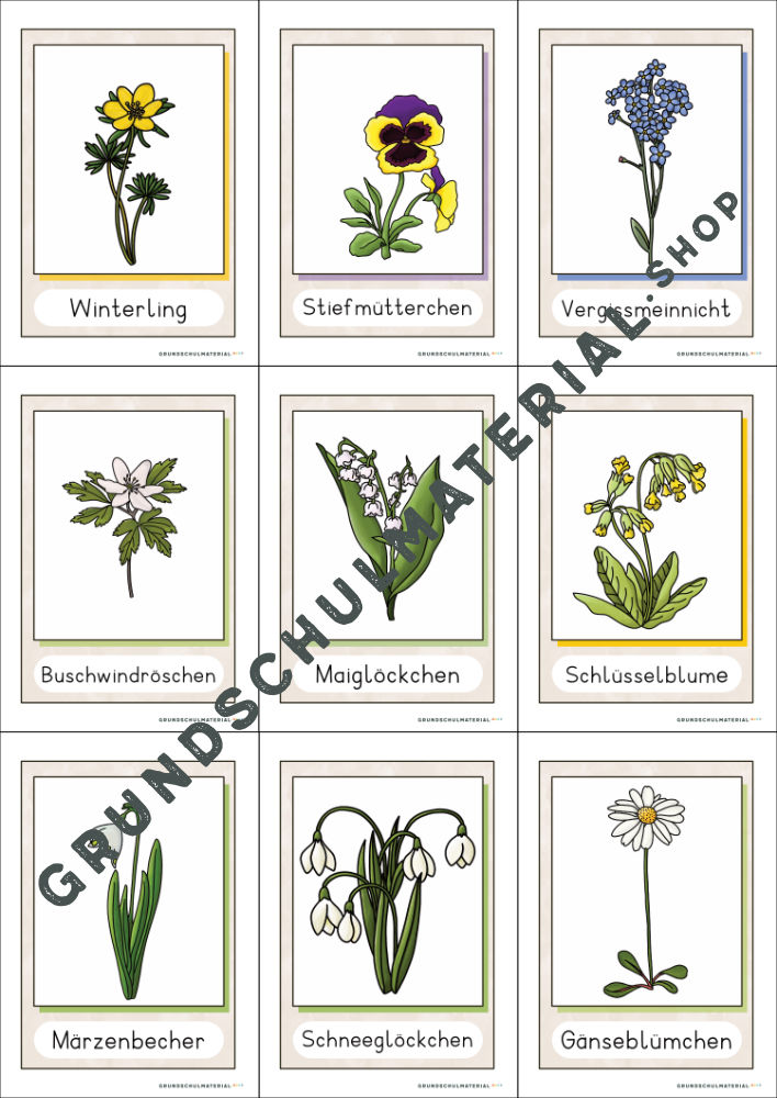 Materialpaket Frühblüher