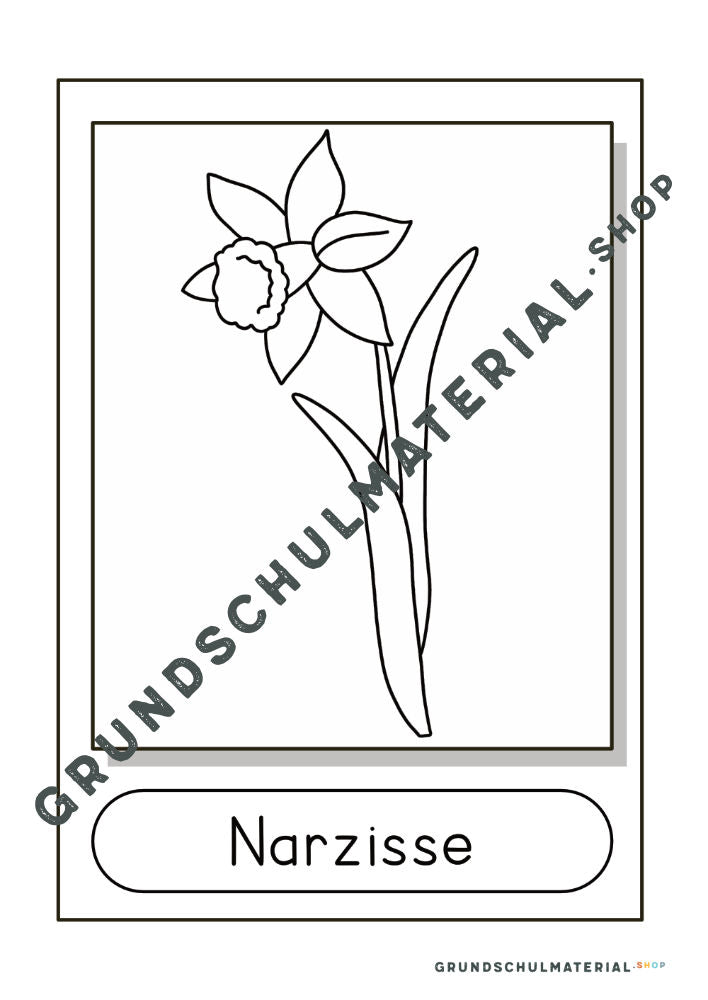 Materialpaket Frühblüher