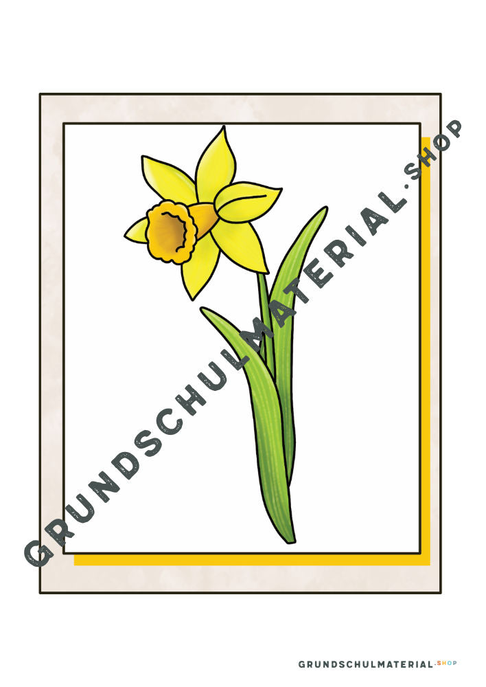 Materialpaket Frühblüher