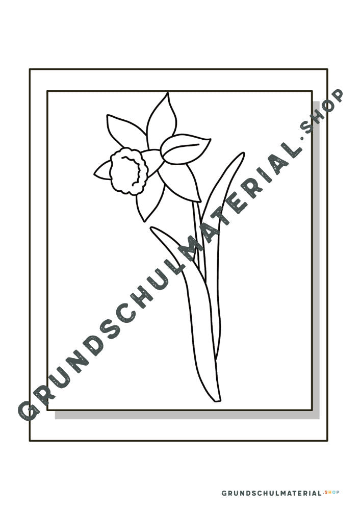 Materialpaket Frühblüher