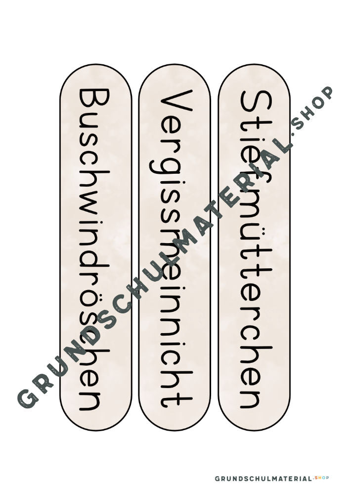Materialpaket Frühblüher