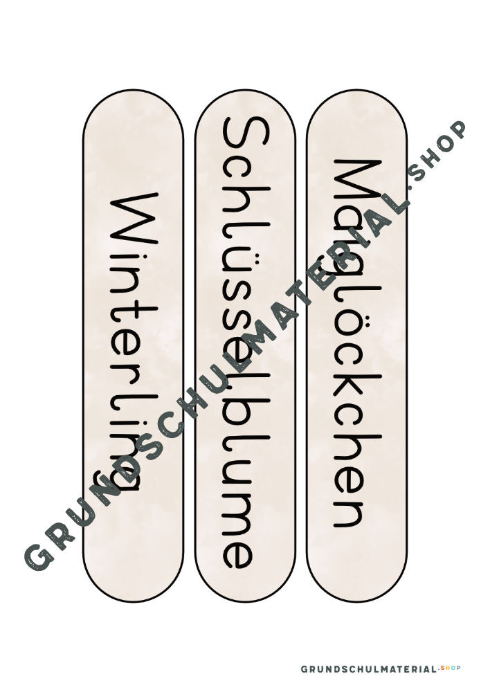 Materialpaket Frühblüher